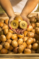 SunGold Kiwis