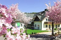 Ansicht des Wahaha Paradise im Sommer mit Kirschblütenbäumen (c) Wahaha Paradise Ansicht des Wahaha Paradise im Sommer mit Kirschblütenbäumen (c) Wahaha Paradise
