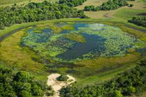 Pantanal (c)Embratur