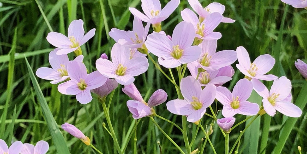 Beete abräumen, den Garten für das Frühjahr vorbereiten.