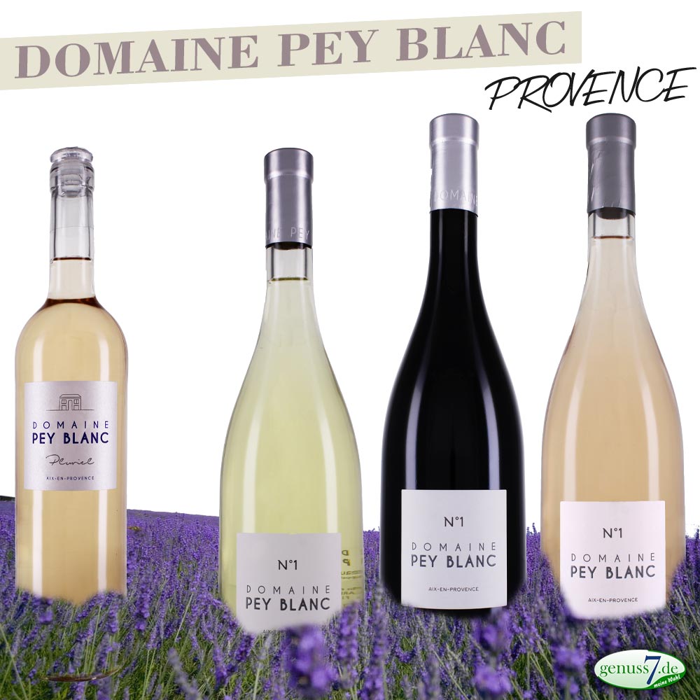 Domaine Pey Blanc / Provence Domaine Pey Blanc / Provence