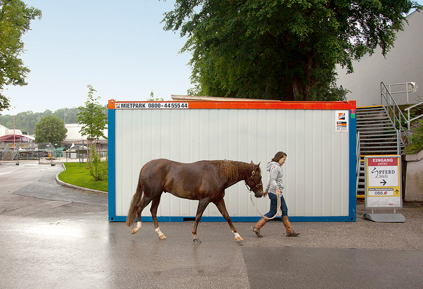 Vielseitige HKL Container: Auf der PFERD Wels inÖsterreich sind sie Aufenthalts- und Lagerraum.
