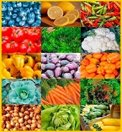 Vegetarische Ernährung und kohlenhydratarm Vegetarische Ernährung und kohlenhydratarm