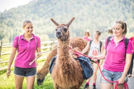 Ferienregion Lana, Lama Trekking