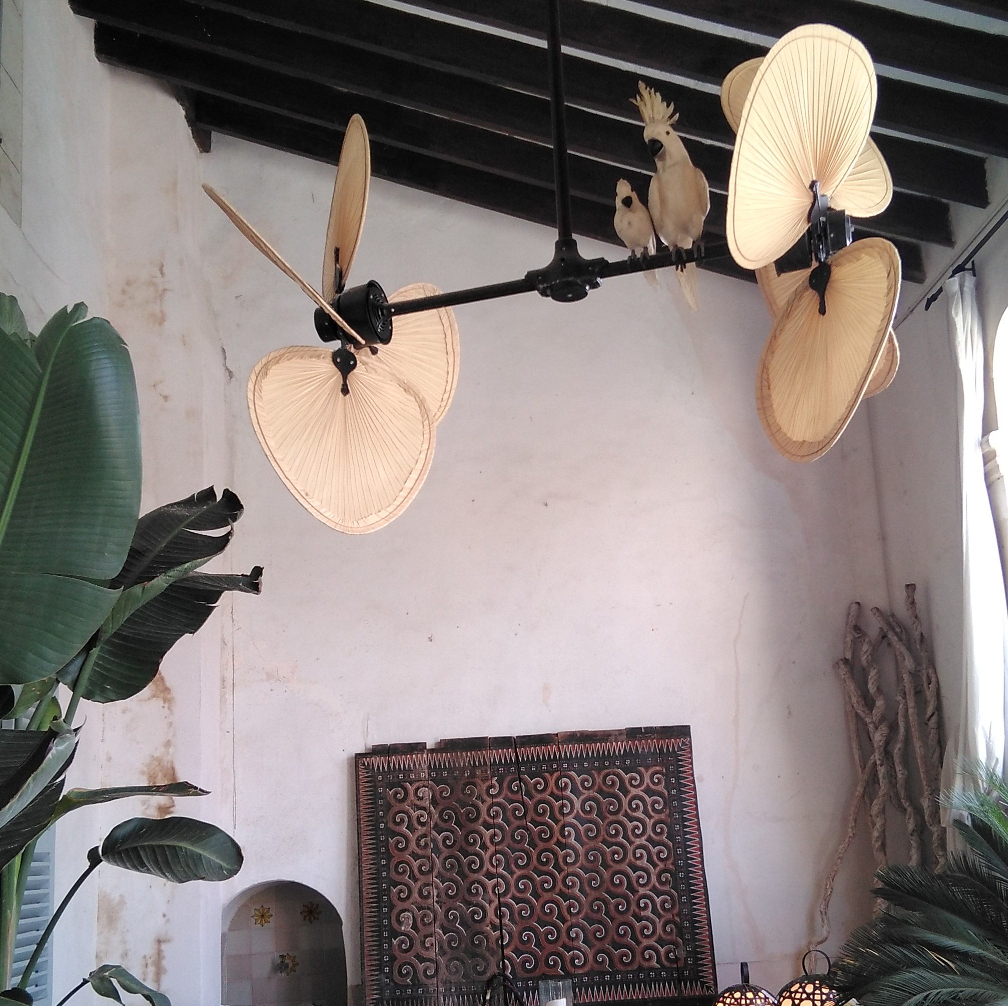 Design Deckenventilator von Casa Bruno in Villen von Hollywood Stars