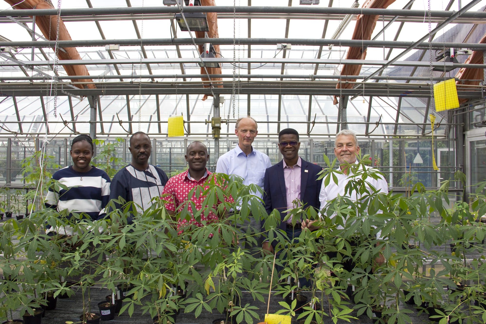 Cassava Züchter in Braunschweig - DSMZ-Pflanzenvirenforscher Dr. Stephan Winter (ganz rechts)