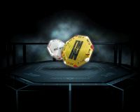 UFC und PokerStars Octagon Chip UFC und PokerStars Octagon Chip
