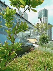 Foto: FPX e.V.