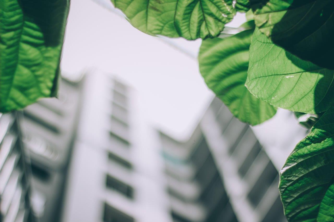 Green Building Labels im Aufwind (c) Pexels, Foto Arun Thomas