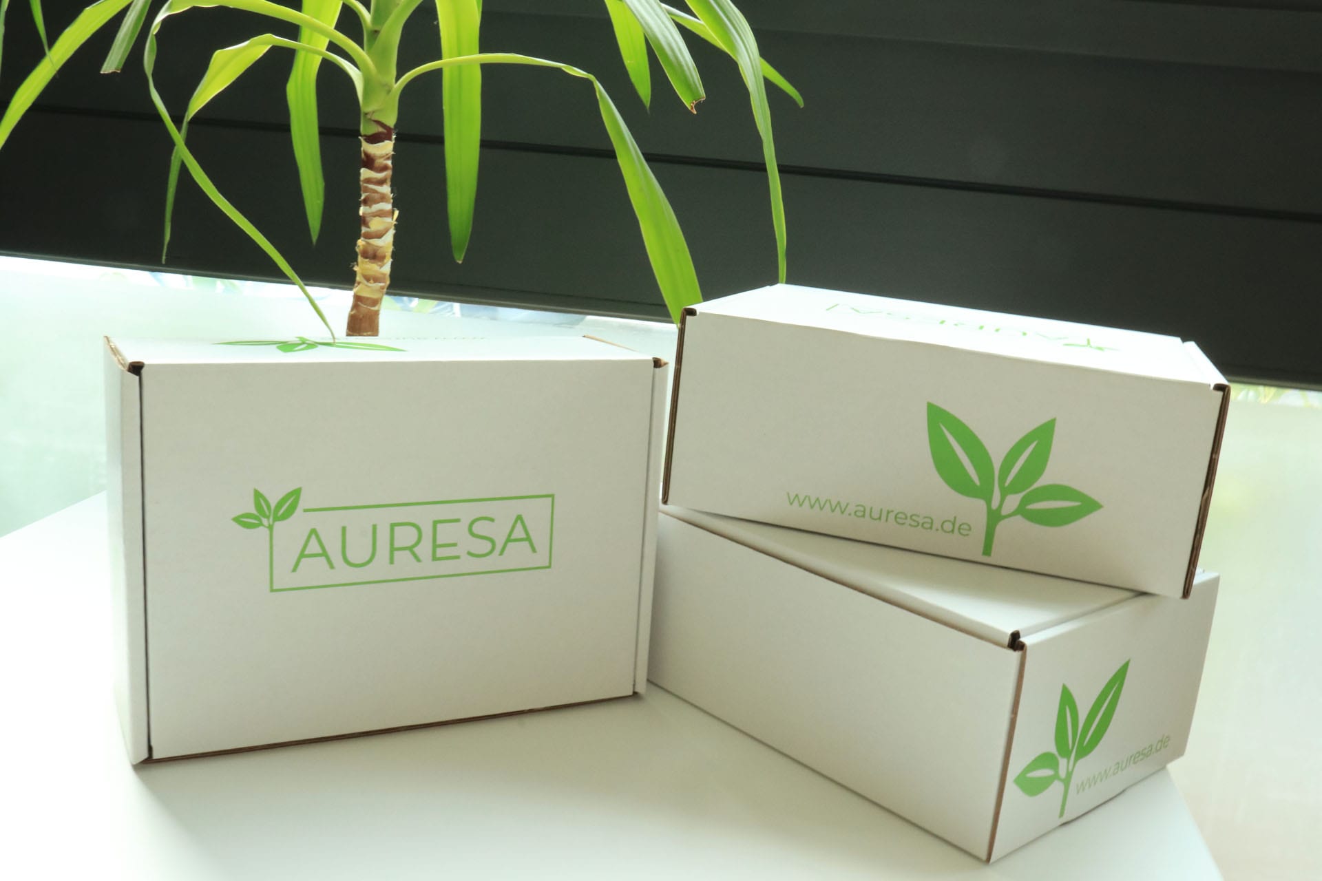 Online-Shop verzichtet auf Plastik Online-Shop verzichtet auf Plastik