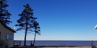 Schüleraustausch Kanada an der Küste von Nova Scotia (Foto: Stiftung Völkerverständigung) Schüleraustausch Kanada an der Küste von Nova Scotia (Foto: Stiftung Völkerverständigung)