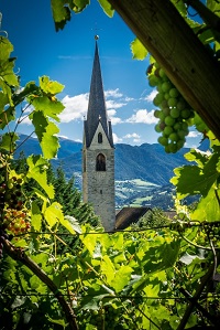 Blick auf den Kirchturm vom Weingarten aus (c) Helmut Moling (Tourismusgenossenschaft Klausen) Blick auf den Kirchturm vom Weingarten aus (c) Helmut Moling (Tourismusgenossenschaft Klausen)