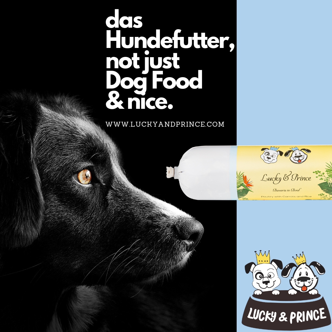 Lucky& Prince das Premium Hundefutter Lucky& Prince das Premium Hundefutter