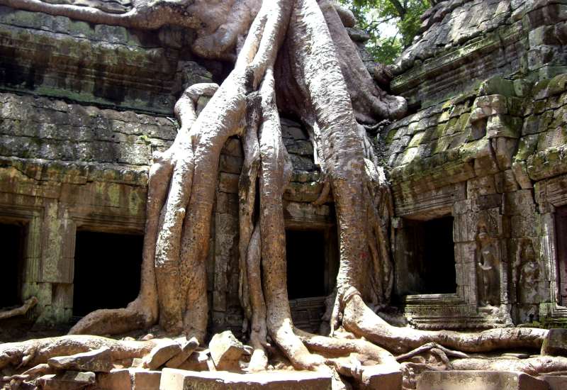 Ta Prohm Tempel Angkor Wat Ta Prohm Tempel Angkor Wat