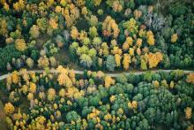 Scania ruft zum Klimatag auf. Bild: Scania Scania ruft zum Klimatag auf. Bild: Scania