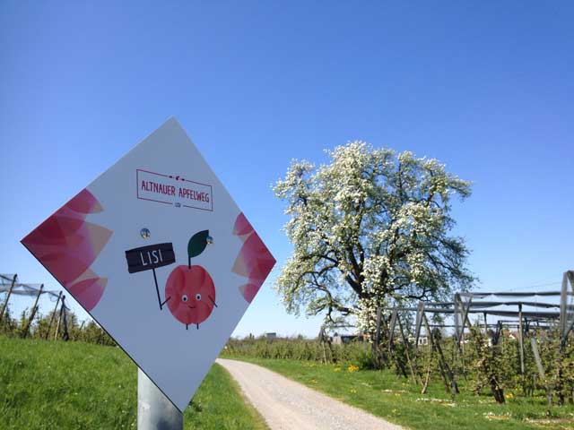 Altnauer Apfelweg © Medienstelle-Thurgau-Tourismus Altnauer Apfelweg © Medienstelle-Thurgau-Tourismus