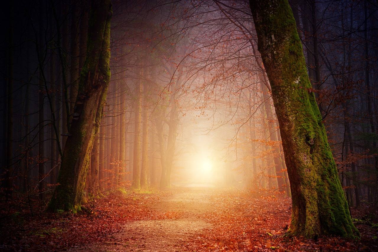 Herbst - Ayurveda-Fasten Herbst - Ayurveda-Fasten