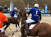 Kampfstark - das Team von VELA HOTELS/PRIMUS Immobilien. (Foto Viola Kaser)