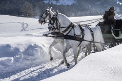 Romantische Pferdekutschenfahrt im Schnee (Posthotel Achenkirch)
