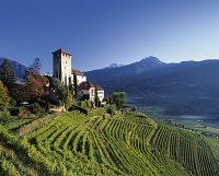 Schloss Lebenberg inmitten der Weinberge (c) Tourismusverein Dorf Tirol (Hotel Golserhof) Schloss Lebenberg inmitten der Weinberge (c) Tourismusverein Dorf Tirol (Hotel Golserhof)