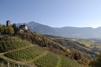 Weinberge und Hügel über Meran im Herbst (c) Tourismusverein Dorf Tirol (Hotel Golserhof)