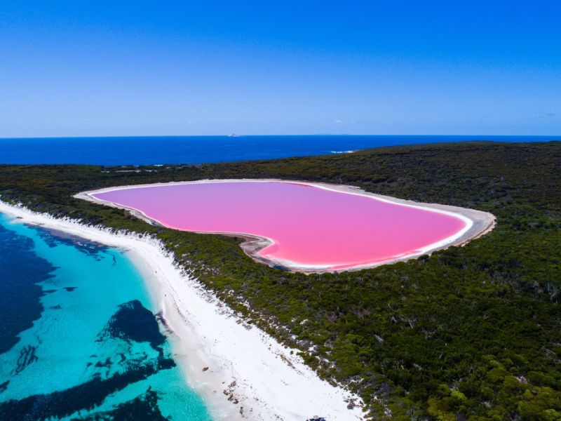 Aerial view of Lake Hillier - Middle Island near Esperance (c)Tourism Western Australia