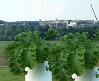 Bild: Biomonitoring-Anlage Bild: Biomonitoring-Anlage