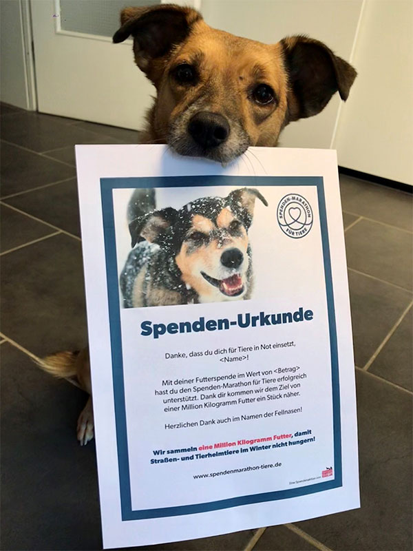 Eine Futterspende beim Spenden-Marathon für Tiere ist das perfekte Geschenk an Tierfreund*innen. Eine Futterspende beim Spenden-Marathon für Tiere ist das perfekte Geschenk an Tierfreund*innen.