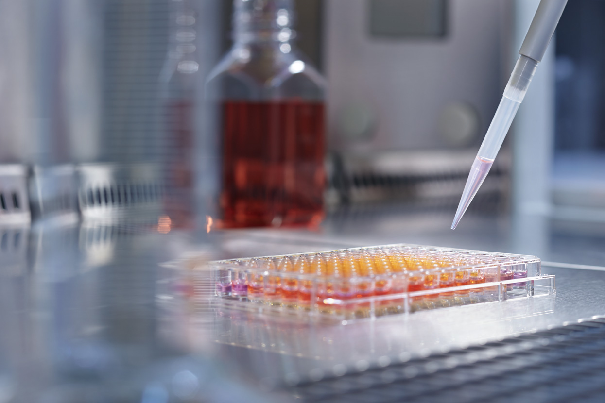 Immunservice entwickelt selbst ein breites Spektrum innovativer Interleukin-2 basierter Medikamente.