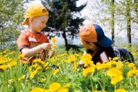 Der Ulrichshof im Bayerischen Wald ist ein wahres Abenteuerland für Kinder.