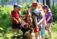 Erstes Biokinderhotel Europas im Bayerischen Wald: der Ulrichshof. Erstes Biokinderhotel Europas im Bayerischen Wald: der Ulrichshof.