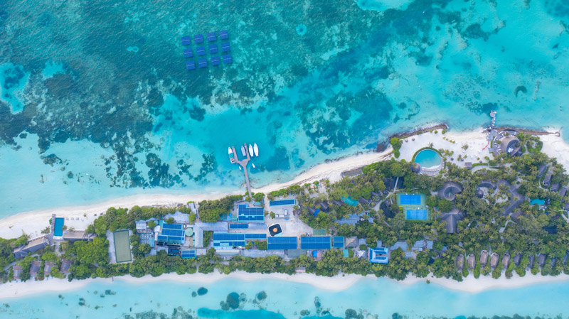 (Bildquelle: @ LUX* South Ari Atoll Resort& Villas) (Bildquelle: @ LUX* South Ari Atoll Resort& Villas)