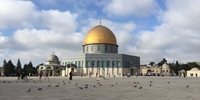 Gap Year im Freiwilligendienst mit Stipendium Jasmina in Israel (Foto: Stiftung Mensch und Zukunft) Gap Year im Freiwilligendienst mit Stipendium Jasmina in Israel (Foto: Stiftung Mensch und Zukunft)
