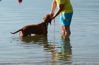 Mann mit Hund am Bau Beach des Lago di Caldonazzo (c) G. Libardi (TVB Valsugana Lagorai)