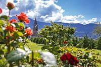 Blick vom Rosengarten auf die Kirche (c) Gufler Christian (Tourismusverein Algund)