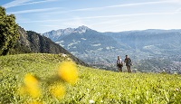 Wandern auf grünen Bergwiesen (c) Hannes Niederkofler (Tourismusverein Algund)