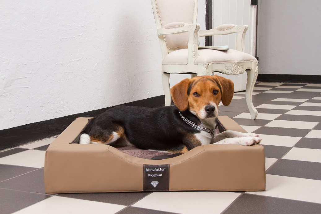 GEL-Hundebett