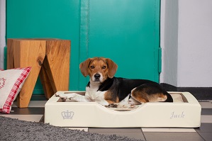 GEL- Hundebett von DoggyBed