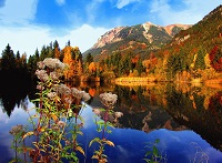 Idyllisches Allgäu mit atemberaubender Landschaft (Parkhotel Burgmühle) Idyllisches Allgäu mit atemberaubender Landschaft (Parkhotel Burgmühle)
