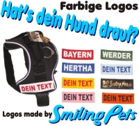 Jetzt wird es bunt!