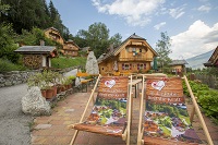 In der Ruhe liegt die Kraft (c) Photoart Reifmüller (Naturdorf Oberkühnreit)