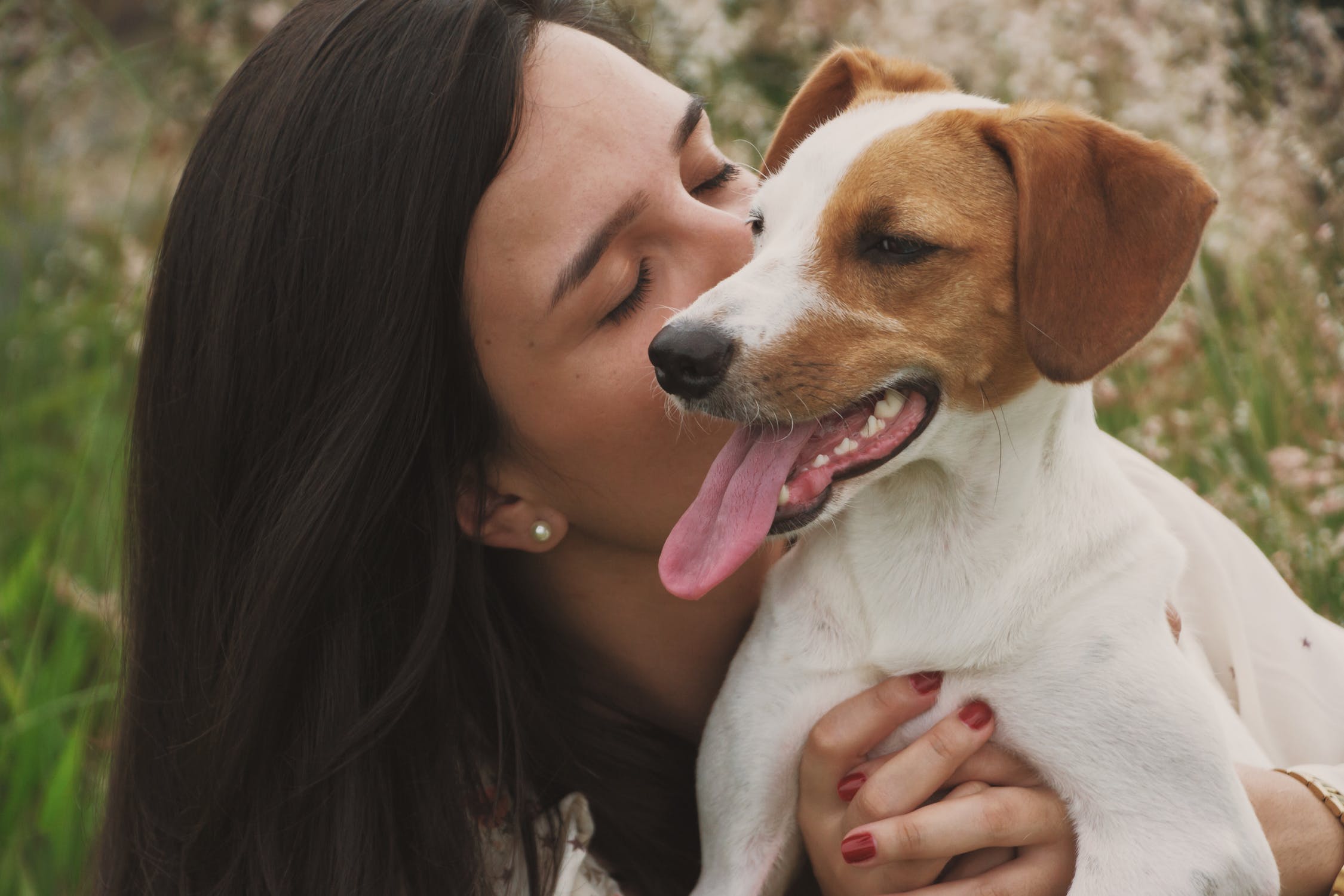 Special Wandern mit Hund: Alle Gastgeber für einen Urlaub mit Hund im Frühling 2020