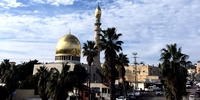Gap Year: Freiwilligendienst mit Stipendium in Israel (Foto: Stiftung Mensch und Zukunft)