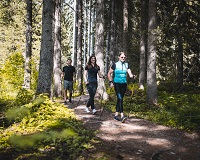 Nordic Walking in der Gruppe (c) Agentur Giggle (Hotel Quelle)