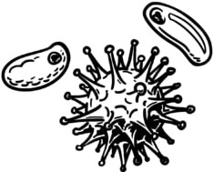 simpleshow erklärt das Coronavirus simpleshow erklärt das Coronavirus