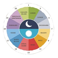 Mit der richtigen Ernährung kann man bestimmte Organe gezielt unterstützen. Mit der richtigen Ernährung kann man bestimmte Organe gezielt unterstützen.