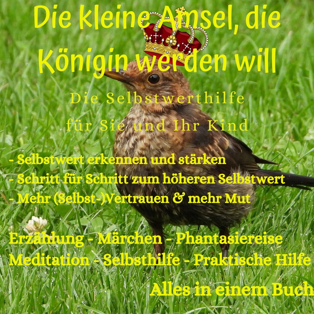Ein neues Buch von Almut Müller Ein neues Buch von Almut Müller