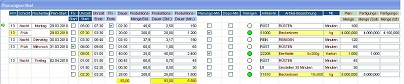 Software Produktionsplanung Software Produktionsplanung