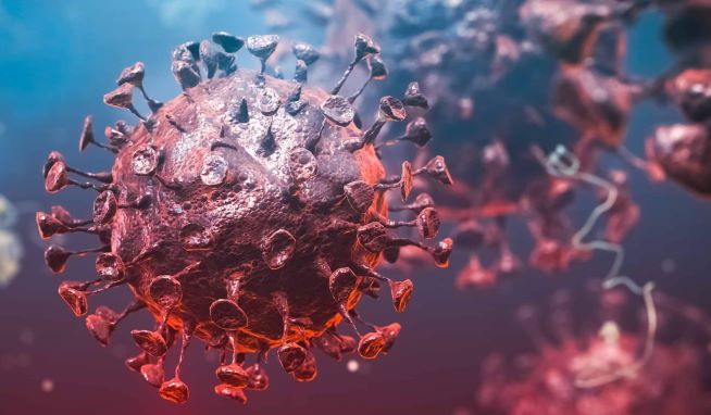 Bild von Coronavirus SARS-CoV-2. Erworben bei iStock.com/appledesign Bild von Coronavirus SARS-CoV-2. Erworben bei iStock.com/appledesign