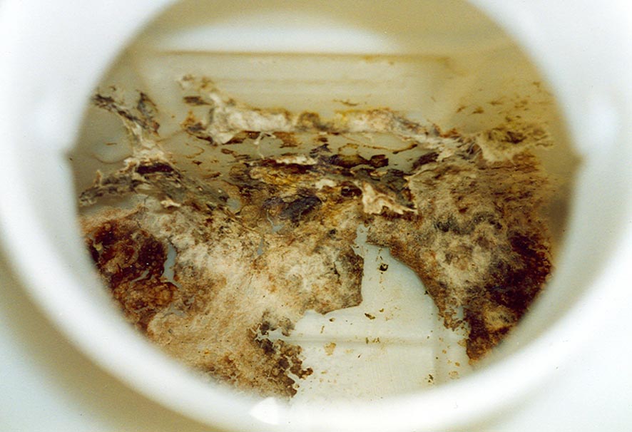 Biofilm in Wassertank in einem Wohnmobil Biofilm in Wassertank in einem Wohnmobil